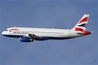 Jos Miguel Bernases - Noisy Spotters. Click to see full size photo