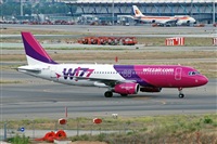 Miguel A. gueda Rguez.  (CANARY ISLANDS SPOTTING). Haz click para ampliar