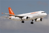 Alfonso Sols - Asociacin Canary Islands Spotting. Click to see full size photo