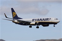 Alfonso Sols - Asociacin Canary Islands Spotting. Haz click para ampliar