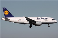 Rodrigo Carvalho - Noisy Spotters. Click to see full size photo
