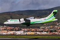 Javier de la Cruz - CANARY ISLANDS SPOTTING. Click to see full size photo