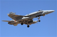 Juan Cruz Menndez-Gran Canaria Spotters. Click to see full size photo
