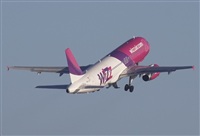 Jos Miguel Bernases - Noisy Spotters. Click to see full size photo