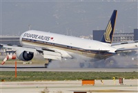 Jos Miguel Bernases - Noisy Spotters. Click to see full size photo