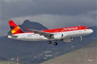 Miguel A. gueda Rguez.  (CANARY ISLANDS SPOTTING). Click to see full size photo