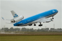 Javier de la Cruz - CANARY ISLANDS SPOTTING. Click to see full size photo