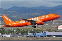 Miguel A. gueda Rguez.  (CANARY ISLANDS SPOTTING). Click to see full size photo