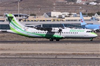 ©Alfonso Solís - Asociación Canary Islands Spotting. Click to see full size photo ©Alfonso Solís - Asociación Canary Islands Spotting. Click to see full size photo