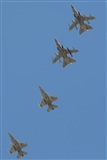 Eugenio y Alfonso. Click to see full size photo