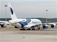 ©Julián Rodríguez - Noisy Spotters. Click to see full size photo ©Julián Rodríguez - Noisy Spotters. Click to see full size photo