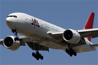 Rubn Gil - Noisy Spotters. Click to see full size photo