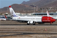 Alfonso Sols - Asociacin Canary Islands Spotting. Haz click para ampliar