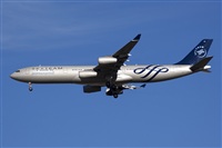 H.volar. Click to see full size photo