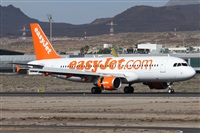 Alfonso Sols - Asociacin Canary Islands Spotting. Click to see full size photo