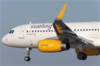 Miguel Alia - Noisy Spotters. Click to see full size photo