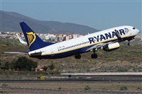©Alfonso Solís - Asociación Canary Islands Spotting. Click to see full size photo ©Alfonso Solís - Asociación Canary Islands Spotting. Click to see full size photo