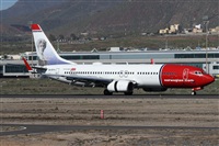 ©Alfonso Solís - Asociación Canary Islands Spotting. Click to see full size photo ©Alfonso Solís - Asociación Canary Islands Spotting. Click to see full size photo