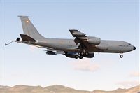 ©Adolfo Bento - Gran Canaria Spotters. Click to see full size photo ©Adolfo Bento - Gran Canaria Spotters. Click to see full size photo