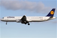 Rubn Gil - Noisy Spotters. Click to see full size photo
