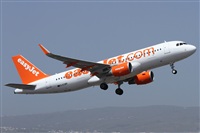 Alfonso Sols - Asociacin Canary Islands Spotting. Click to see full size photo