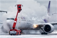 Javier de la Cruz - CANARY ISLANDS SPOTTING. Click to see full size photo