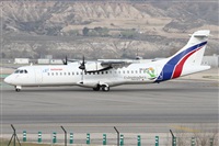 ©Alfonso Solís - Asociación Canary Islands Spotting. Click to see full size photo ©Alfonso Solís - Asociación Canary Islands Spotting. Click to see full size photo