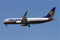 Alfonso Sols - Asociacin Canary Islands Spotting. Haz click para ampliar