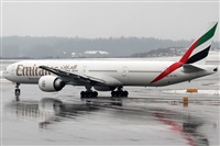 Rubn Gil - Noisy Spotters. Click to see full size photo