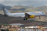 ©Adolfo Bento - Gran Canaria Spotters. Click to see full size photo ©Adolfo Bento - Gran Canaria Spotters. Click to see full size photo