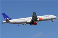 Alfonso Sols - Asociacin Canary Islands Spotting. Click to see full size photo
