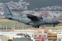 Adolfo Bento - Gran Canaria Spotters. Click to see full size photo