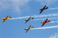 Cele - Spotters BCN. Click to see full size photo