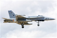 Paco Muoz Arencibia - Gran Canaria Spotters. Click to see full size photo