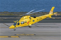 ©Adolfo Bento - Gran Canaria Spotters. Click to see full size photo ©Adolfo Bento - Gran Canaria Spotters. Click to see full size photo