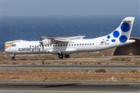 ©Adolfo Bento - Gran Canaria Spotters. Click to see full size photo ©Adolfo Bento - Gran Canaria Spotters. Click to see full size photo