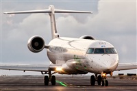 Javier de la Cruz - CANARY ISLANDS SPOTTING. Click to see full size photo