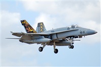 ©J. Victor Vega-Gran Canaria Spotters. Click to see full size photo ©J. Victor Vega-Gran Canaria Spotters. Click to see full size photo