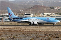 Alfonso Sols - Asociacin Canary Islands Spotting. Click to see full size photo