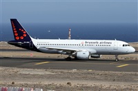 ©Alfonso Solís - Asociación Canary Islands Spotting. Click to see full size photo ©Alfonso Solís - Asociación Canary Islands Spotting. Click to see full size photo