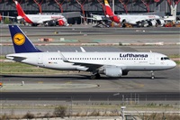Alfonso Sols - Asociacin Canary Islands Spotting. Click to see full size photo