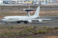 Adolfo Bento - Gran Canaria Spotters. Click to see full size photo