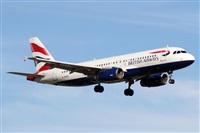 Alfonso Sols - Asociacin Canary Islands Spotting. Click to see full size photo