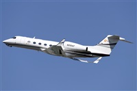 LEBL Spotter. Click to see full size photo