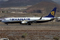 Alfonso Sols - Asociacin Canary Islands Spotting. Haz click para ampliar