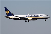 Alfonso Sols - Asociacin Canary Islands Spotting. Click to see full size photo