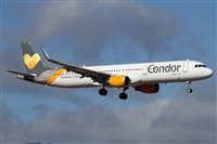 ©Alfonso Solís - Asociación Canary Islands Spotting. Click to see full size photo ©Alfonso Solís - Asociación Canary Islands Spotting. Click to see full size photo