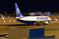 Miguel A. gueda Rguez.  (CANARY ISLANDS SPOTTING). Haz click para ampliar