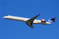Miguel A. gueda Rguez.  (CANARY ISLANDS SPOTTING). Click to see full size photo