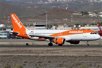 Alfonso Sols - Asociacin Canary Islands Spotting. Click to see full size photo
